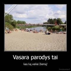 Vasara parodys tai - kas ką veikė žiemą!