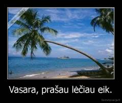 Vasara, prašau lėčiau eik. - 