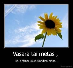 Vasara tai metas ,  - kai nežinai kokia šiandien diena .
