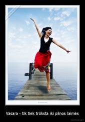 Vasara - tik tiek trūksta iki pilnos laimės - 