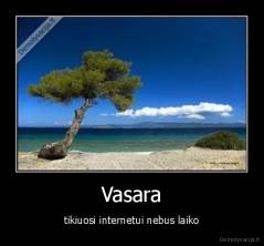 Vasara - tikiuosi internetui nebus laiko