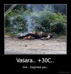 Vasara.. +30C.. - Guli.. Deginiesi sau..