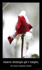 Vasaros atostogos gal ir baigėsi, - bet vasara nesibaigs niekada