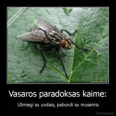 Vasaros paradoksas kaime: - Užmiegi su uodais, pabundi su musėmis