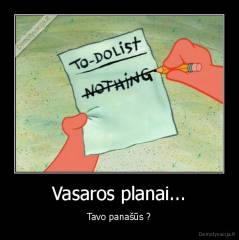 Vasaros planai... - Tavo panašūs ?