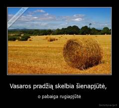 Vasaros pradžią skelbia šienapjūtė,  - o pabaiga rugiapjūtė