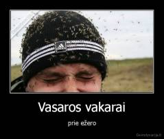 Vasaros vakarai - prie ežero