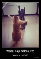 Vasiaa! Kaip malonu, kad - atpažinai savo brolį Kolią!