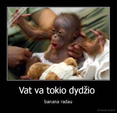 Vat va tokio dydžio  - banana radau