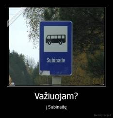 Važiuojam? - į Subinaitę