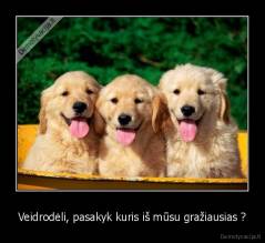 Veidrodėli, pasakyk kuris iš mūsu gražiausias ? - 