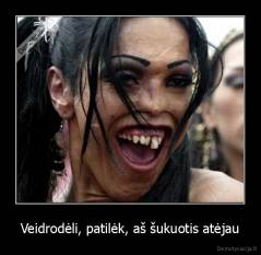 Veidrodėli, patilėk, aš šukuotis atėjau - 