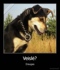 Veislė? - Draugas