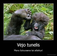 Vėjo tunelis - Mano šukuosena tai atlaikys!