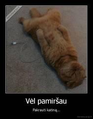 Vėl pamiršau - Pakrauti katiną...