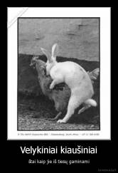 Velykiniai kiaušiniai - štai kaip jie iš tiesų gaminami