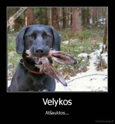 Velykos - Atšauktos...