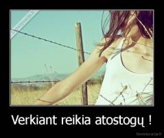 Verkiant reikia atostogų ! - 