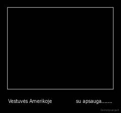 Vestuvės Amerikoje               su apsauga....... - 