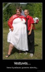 Vestuvės... - Viena iš gražiausiu gyvenimo akimirkų...