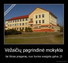 Vėžaičių pagrindinė mokykla - tai tikras pragaras, nuo kurios svaigsta galva ;D