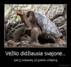 Vėžlio didžiausia svajonė.. - kad jį nubaustų už greičio viršijimą