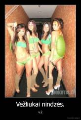 Vežliukai nindzės. - v.2