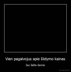 Vien pagalvojus apie šildymo kainas - Jau šalta darosi