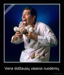 Viena didžiausių vasaros nuodėmių - 