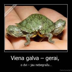 Viena galva – gerai,  - o dvi – jau nebegražu…