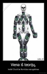 Viena iš teorijų, - kodėl Chuck'as Norris'as nenugalimas