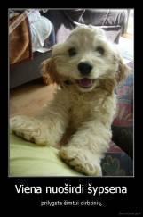 Viena nuoširdi šypsena -  prilygsta šimtui dirbtinių.