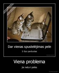 Viena problema - jie neturi pelės