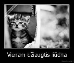 Vienam džiaugtis liūdna - 