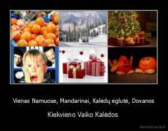 Vienas Namuose, Mandarinai, Kalėdų eglutė, Dovanos - Kiekvieno Vaiko Kalėdos 