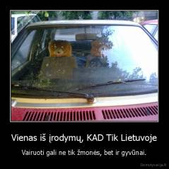 Vienas iš įrodymų, KAD Tik Lietuvoje - Vairuoti gali ne tik žmonės, bet ir gyvūnai.