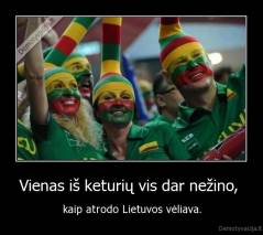 Vienas iš keturių vis dar nežino,  - kaip atrodo Lietuvos vėliava.