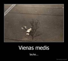 Vienas medis - lauke...