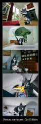 Vienas namuose: Cat Edition - 