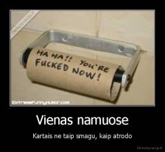 Vienas namuose - Kartais ne taip smagu, kaip atrodo