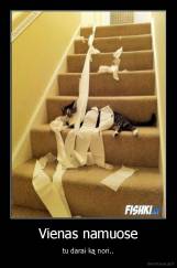 Vienas namuose - tu darai ką nori..