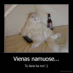 Vienas namuose... - Tu darai ka nori :)