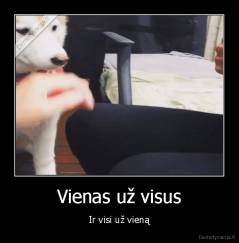 Vienas už visus - Ir visi už vieną