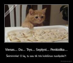 Vienas... Du... Trys... Septyni... Penkiolika... - Šeimininke! O ką, tu sau tik tris koldūnus nusilipdei?!