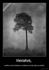 Vienatvė,  - padėtis, kuomet objektas yra atskirtas nuo kitų tokių pat objektų