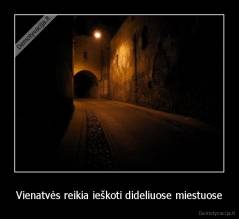 Vienatvės reikia ieškoti dideliuose miestuose - 