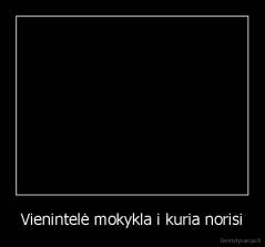 Vienintelė mokykla i kuria norisi - 