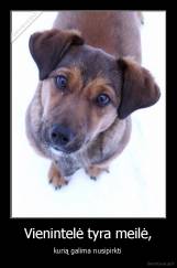 Vienintelė tyra meilė, - kurią galima nusipirkti 