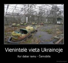 Vienintelė vieta Ukrainoje - Kur dabar ramu - Černobilis