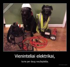 Vieninteliai elektrikai, - kurie per daug neužsiplėšia.
